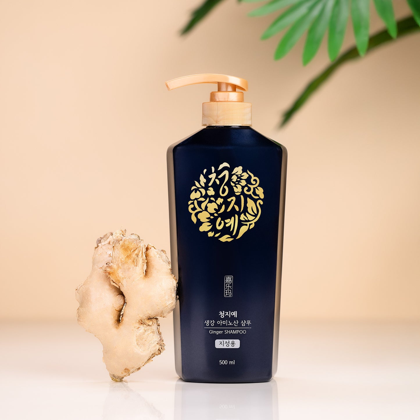 Clarifying Ginger Shampoo