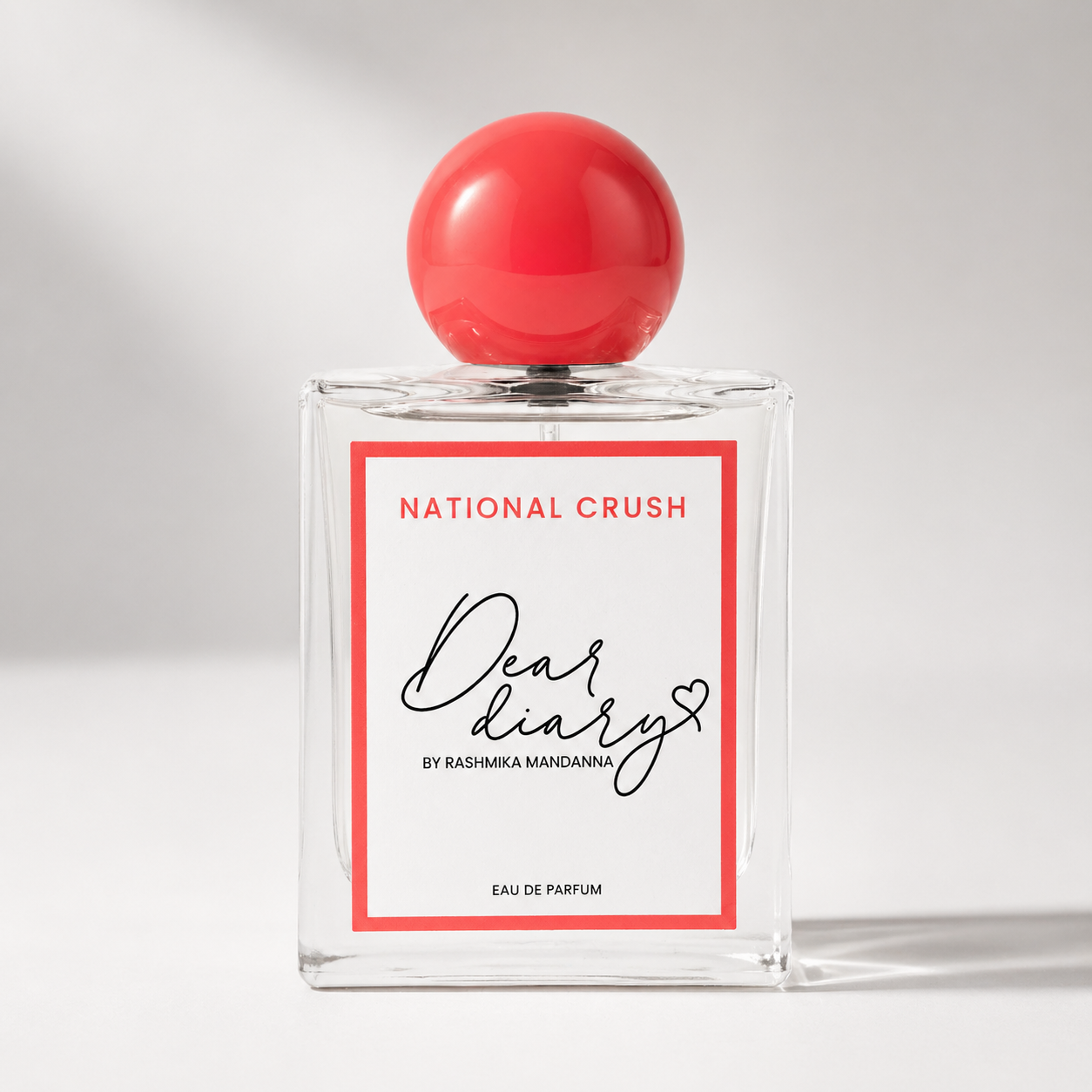 Dear Diary National Crush