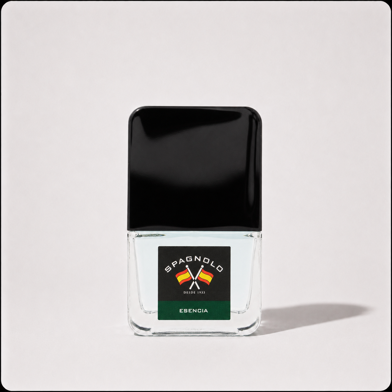 Spagnolo Esencia Man EDT Aromatic Woody Perfume