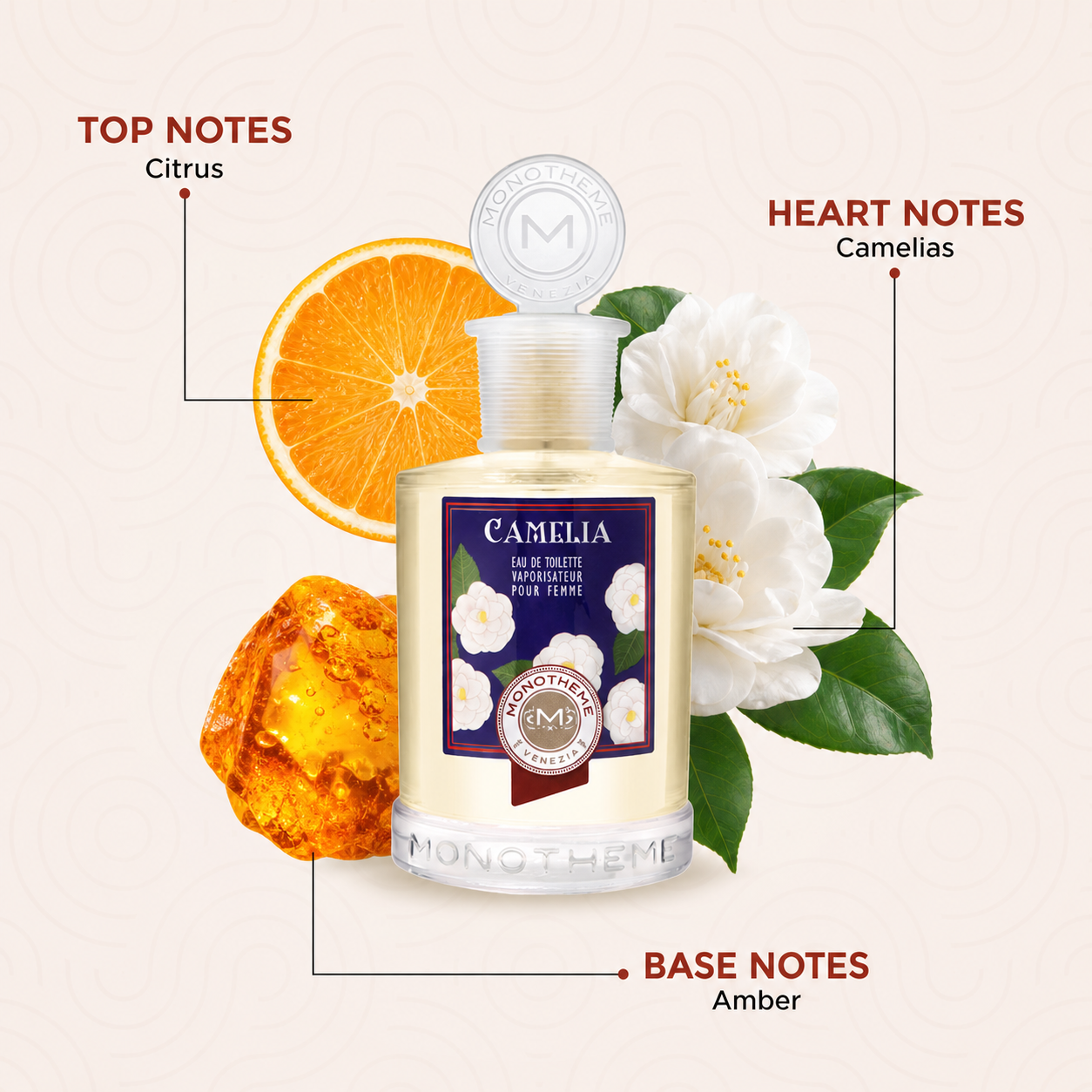 Monotheme Camelia EDT Floral Perfume