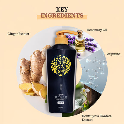 Clarifying Ginger Shampoo