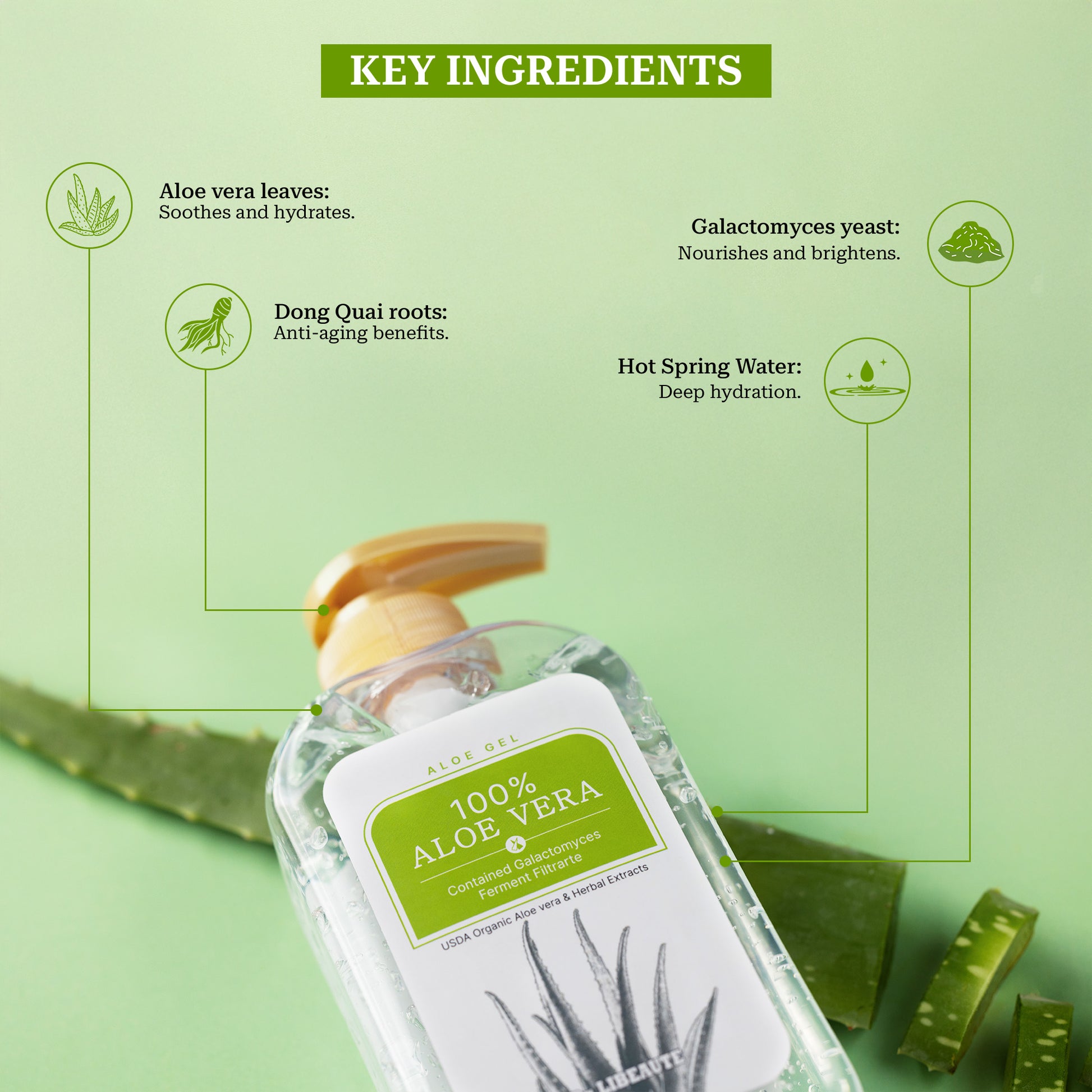 Aloe Vera Face Gel