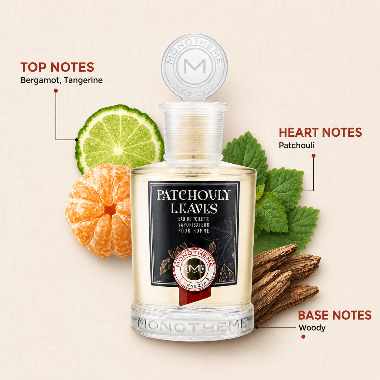 Monotheme Patchouly Leaves EDT Woody Spicy Perfume