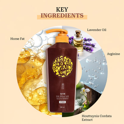 Horse Fat Shampoo