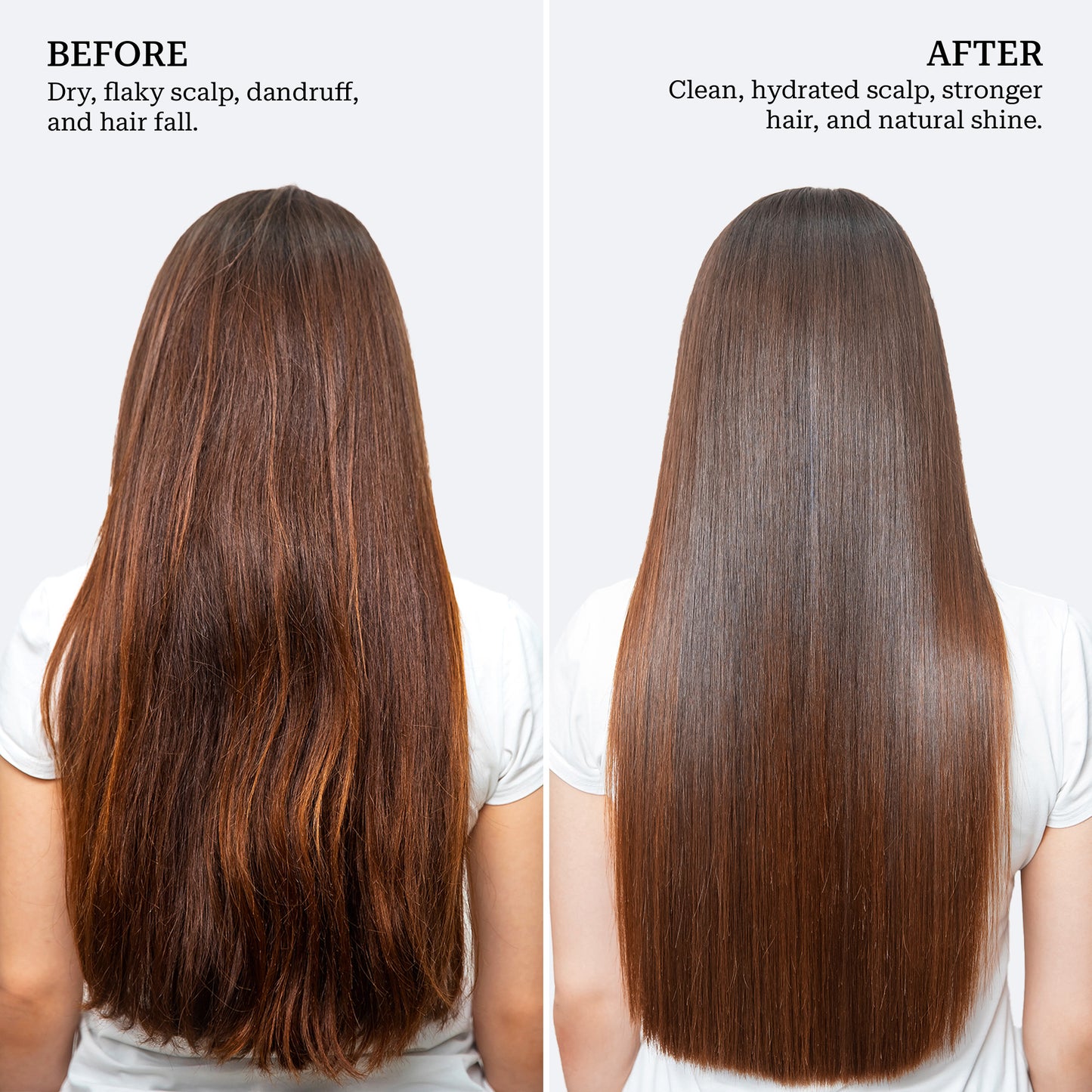 Clarifying Ginger Shampoo