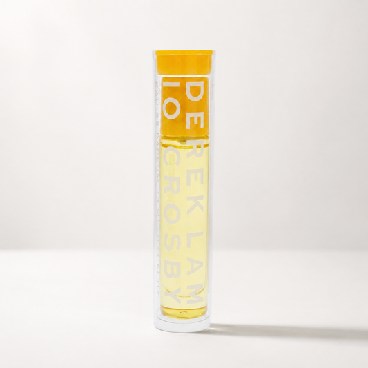 Derek Lam A Hold On Me Mini