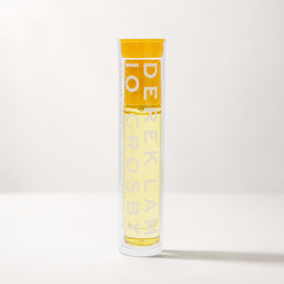 Derek Lam A Hold On Me Mini
