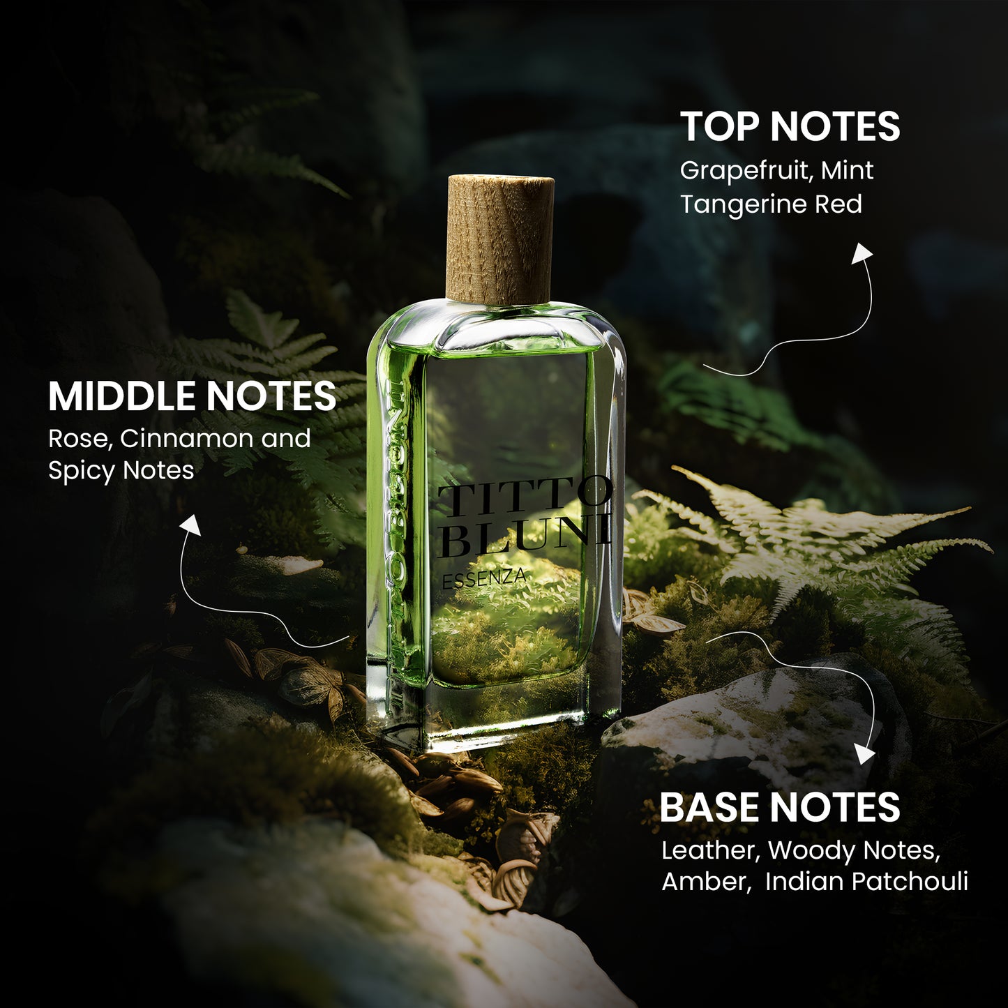 Titto Bluni Essenza Uomo EDT Fragrance for Men