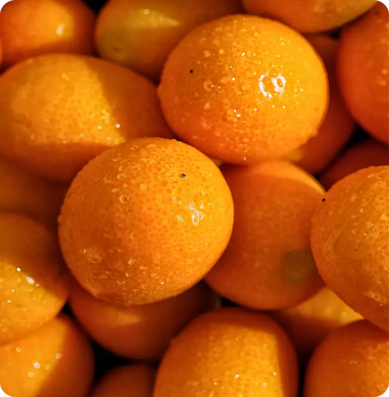 Tunisian Orange