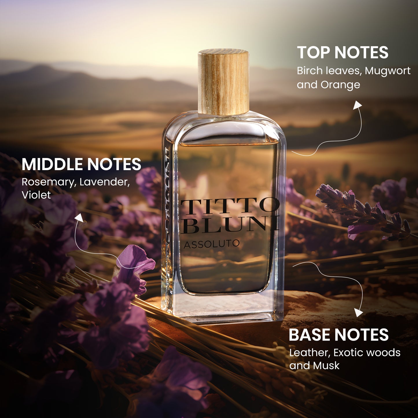 Titto Bluni Assoluto Uomo EDT Woody Perfume