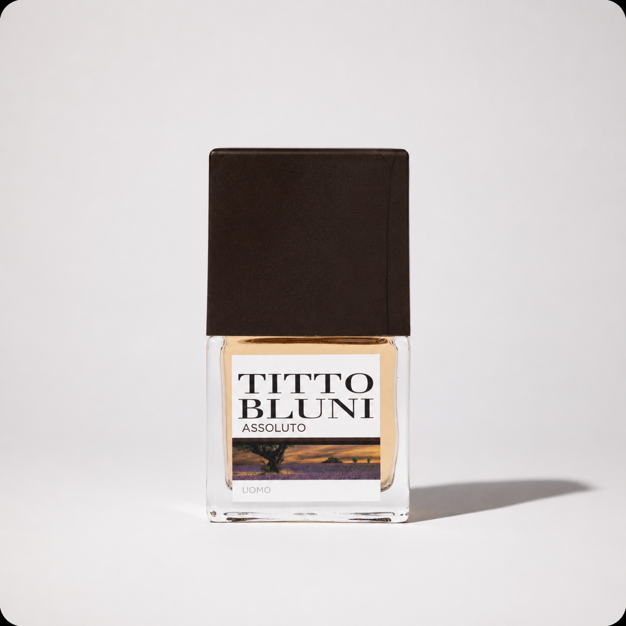 Titto Bluni Assoluto Uomo EDT Woody Perfume