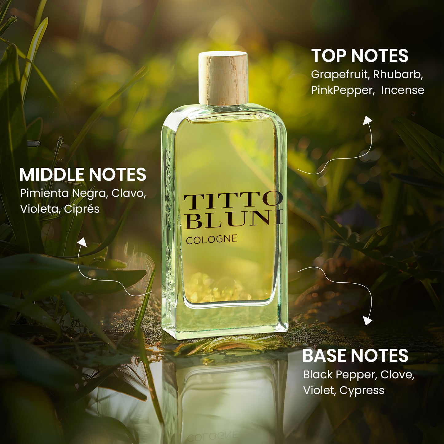 Titto Bluni Cologne Uomo EDT Citrus Woody Cologne