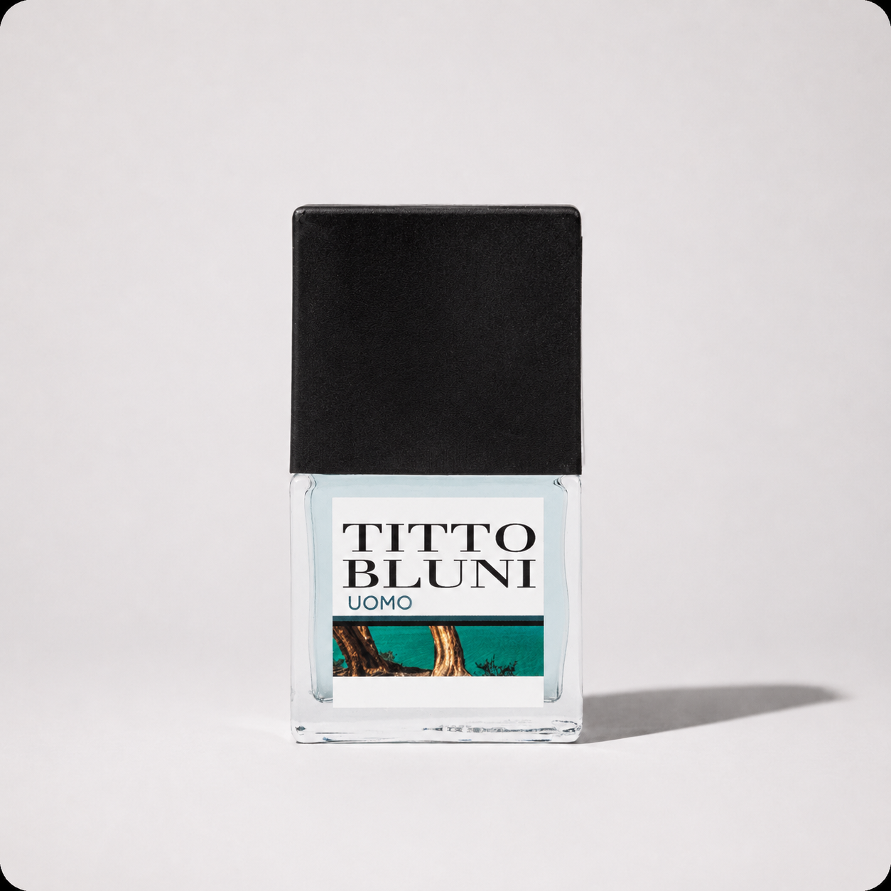 Titto Bluni Uomo EDT Fresh Woody Cologne