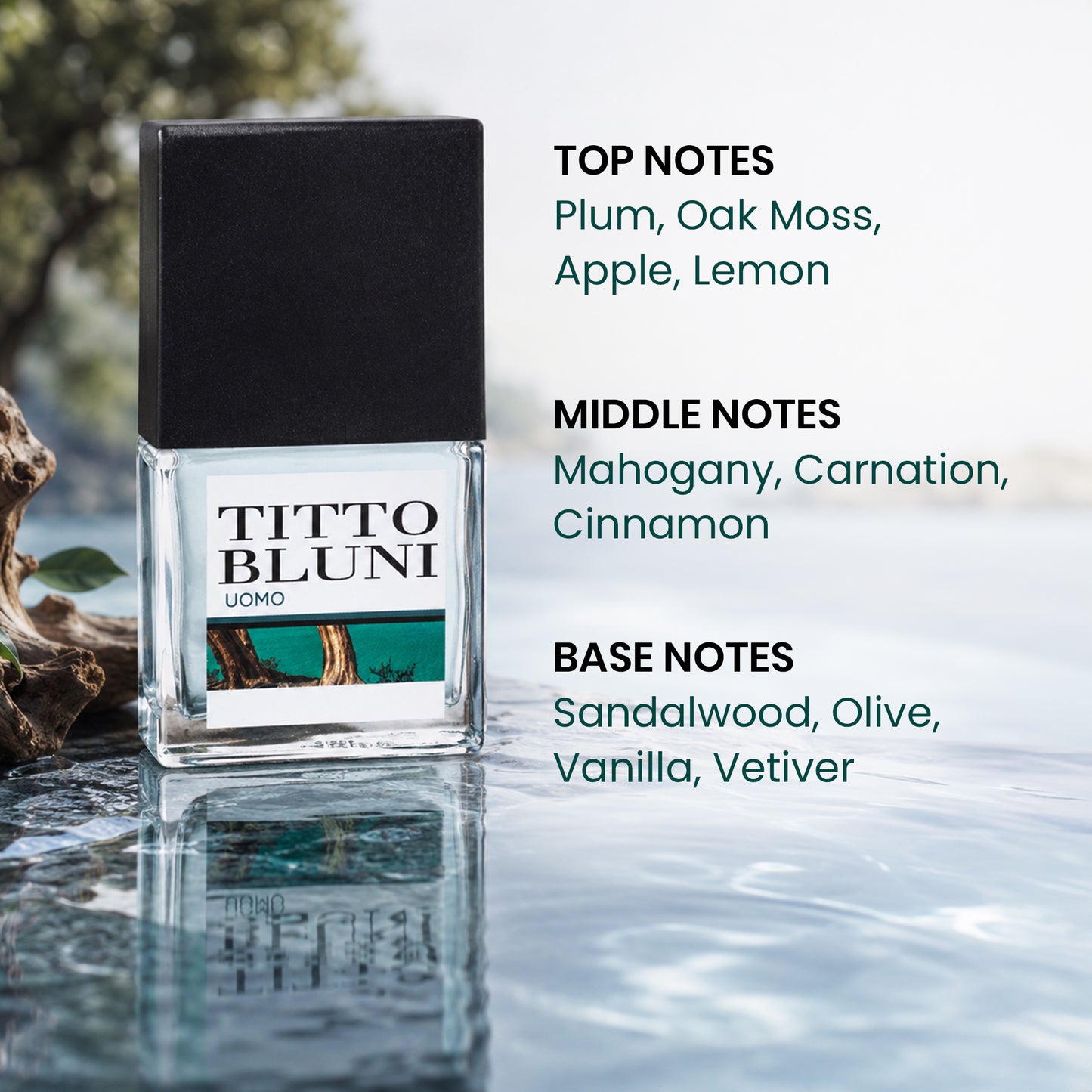 Titto Bluni Uomo EDT Fresh Woody Cologne